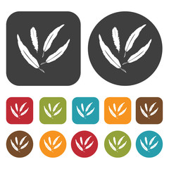 Feathers sign icon. Sleep Sign symbol icons set. Round and recta