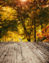 Naklejka na ściany i meble Wooden planks with autumn trees in the background