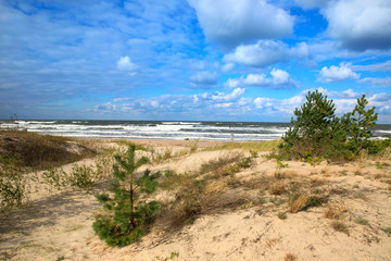 Baltic sea sand dunes, Baltic coast Poland.