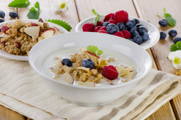 Bowl of muesli and fresh yogurt with  berries