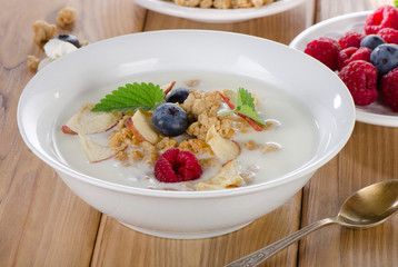 Bowl of muesli and fresh yogurt