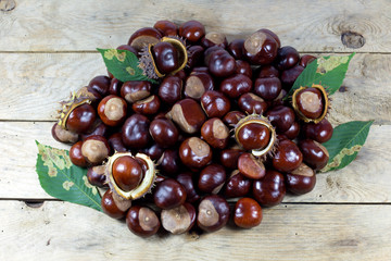 Chestnuts from an Autumn Harvest on an Old Rustic  Wooden Table