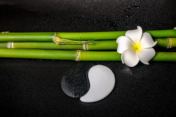 spa still life of white frangipani flower, symbol Yin Yang and n