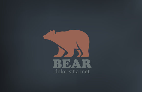 Bear Logo design vector template. Wild animal zoo icon