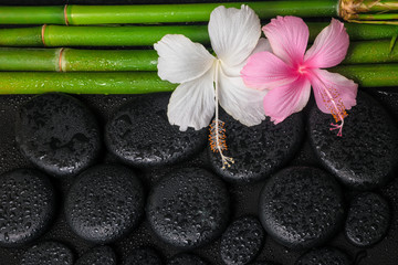 Naklejki  spa martwa natura z białych, różowych kwiatów hibiskusa i naturalnego bambusa