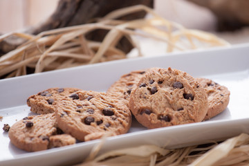 Close-up of chocolate chip cookies