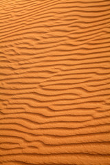 Red sand desert
