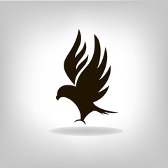 Black eagle with outstretched wings