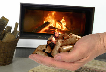 Hand mit brennenden Holzpellets vor Kamin