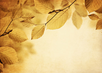 Textured fall leaves background