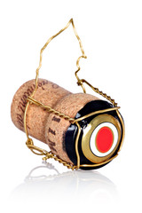 Cork from champagne bottle with wire