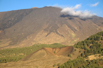Cooled Lava Flows On The South-western Side Of Etna National Par