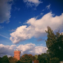 Fototapeta premium Obserwatorium astronomiczne wśród drzew