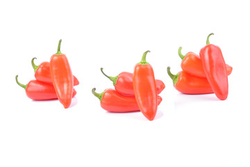 red paprika pepper isolated