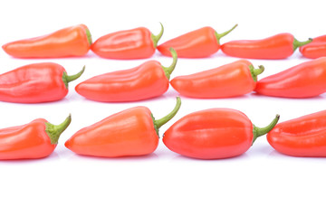 red paprika pepper isolated