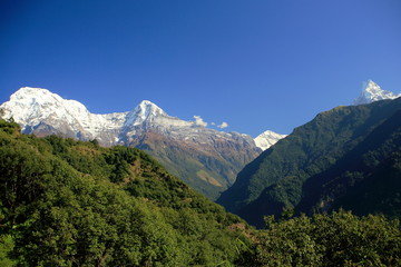 Mts.Annapurna S.-Hiun Chuli-Gangapurna-Machapuchare. Nepal 0645