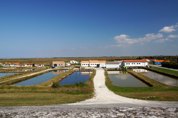 Parcs à huîtres face aux remparts de Brouage