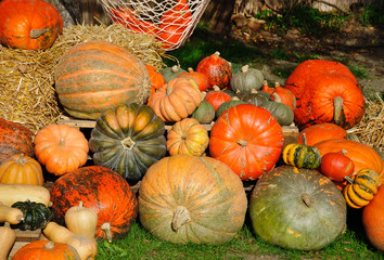 Pumpkin decoration