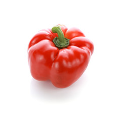 pepper on white background