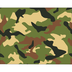 Camo texture in map - Wyoming © filipbjorkman