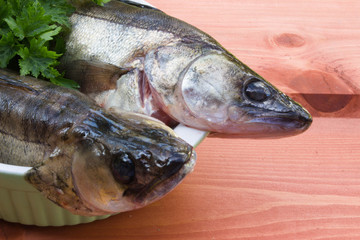 Two walleye on wooden background