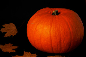 Pumpkin on a black background.