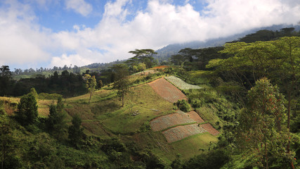 Indonesie 40