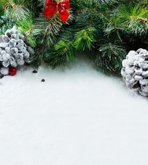 Fototapeta na wymiar Christmas tree branch with cones