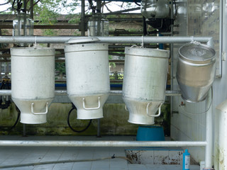 milk cans in farm