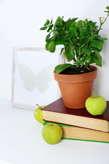Different objects on white shelf in living room