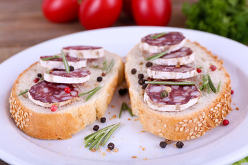 Sandwiches with salami on plate on napkin on wooden background