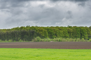 Field and storm