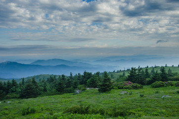 Fototapeta na wymiar Foggy Mountain as seen from Grassy Ridge