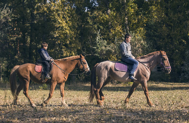 horse ride young guy autumn forest