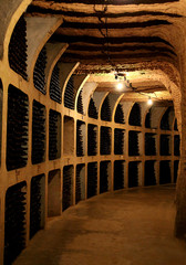 Wine bottles in the cellar