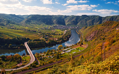 Weinlesezeit an der Mosel zwischen Bremm und Neef