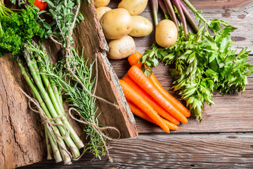 Fresh various vegetables on bark