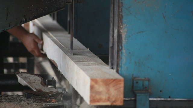 Pine Wood Trimming with Band saw at Sawmill