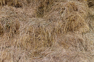 straw texture