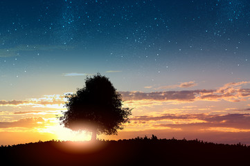 Natural landscape