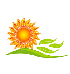 Sun flower icon design vector illustration