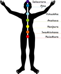 Human chakras