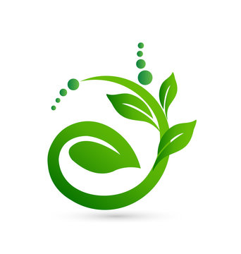 Healthy and natural plant shape logo vector icon