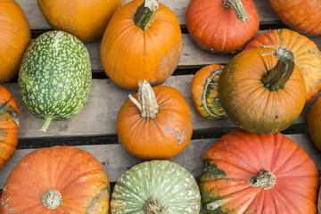 assorted pumpkins background
