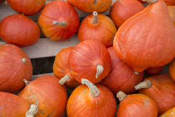 assorted pumpkins