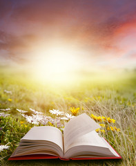 Obraz premium Open book in field and sunny sky
