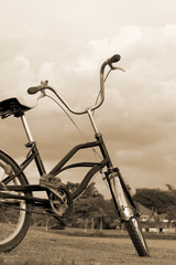 Bicycle on green grass