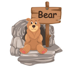 animal alphabet letter B for bear