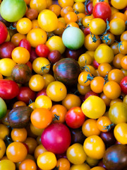 DIFFERENT VARIETY OF FRESH TOMATOES