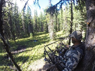 Tree Stand Hunting © Michael Ireland